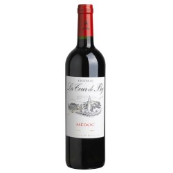 Photographie d'une bouteille de vin rouge Cht La Tour De By 2018 Medoc Rge 3 L Crd
