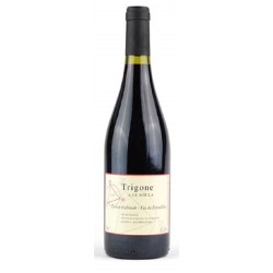 Photographie d'une bouteille de vin rouge Soula Trigone Vdf Rge Bio 75cl Crd