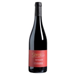 Photographie d'une bouteille de vin rouge Serol Eclat De Granite 2020 Cote Roannaise Rge 75cl Crd