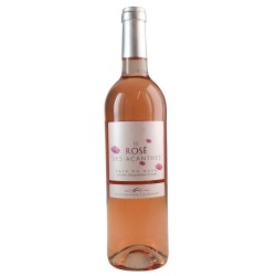 Photographie d'une bouteille de vin rosé Tavel Le Rose Des Acanthes 2020 Igp Gard Rose 75cl Crd