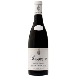 Photographie d'une bouteille de vin rouge Guyon Pinot Noir 2018 Bgne Rge 75cl Crd