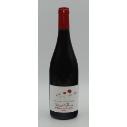 Photographie d'une bouteille de vin rouge Perroud Vignoble En Conversion 2021 Bjs Rge 75cl Crd