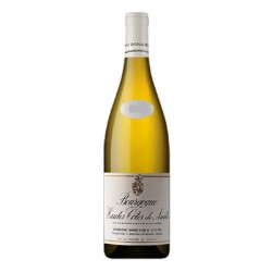 Photographie d'une bouteille de vin blanc Guyon Hautes Cotes De Nuits 2018 Bgne Blc 75cl Crd
