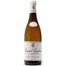 Photographie d'une bouteille de vin blanc Guyon Sous Fretille 1er Cru 2018 Pernand Blc 75cl Crd