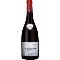 Photographie d'une bouteille de vin rouge Coillot Pinot Noir 2019 Bgne Rge 75cl Crd