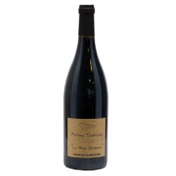 Photographie d'une bouteille de vin rouge Sanzay La Haye Dampierre 2020 Saumur Rge Bio 75cl Crd