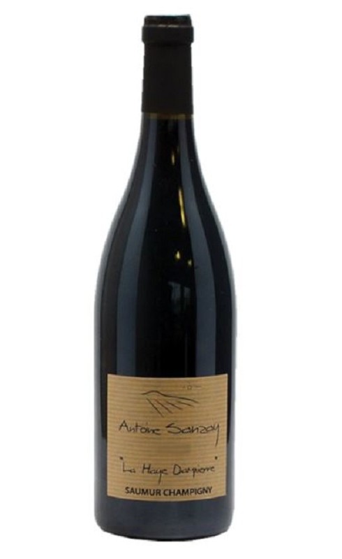 Photographie d'une bouteille de vin rouge Sanzay La Haye Dampierre 2020 Saumur Rge Bio 75cl Crd