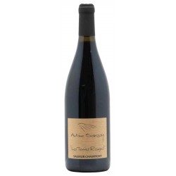 Photographie d'une bouteille de vin rouge Sanzay Terres Rouges 2019 Saumur Champ Rge Bio 1 5 L Crd