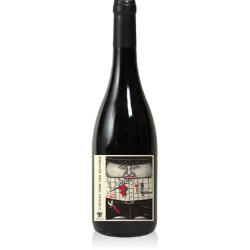 Photographie d'une bouteille de vin rouge Albert De Conti Albert 2021 Bergerac Rge Bio 1 5 L Crd
