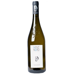 Photographie d'une bouteille de vin blanc Guyons Vent Du Nord 2020 Saumur Blc 75cl Crd