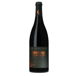 Photographie d'une bouteille de vin rouge Berg Du Capucin Dame Jeanne 2019 Pic-St-Loup Rge 75cl Crd