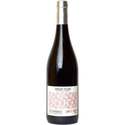 Photographie d'une bouteille de vin rouge Pluchot Arris 2021 Cote Roannaise Rge 75 Cl Crd