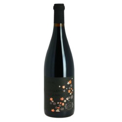 Photographie d'une bouteille de vin rouge Raffault La Singuliere 2014 Chinon Rge 75cl Crd