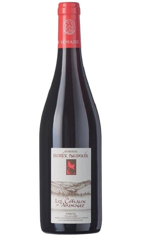 Photographie d'une bouteille de vin rouge Baudouin Coteaux D Ardenay 2017 Anjou Rge 75cl Crd