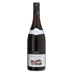 Photographie d'une bouteille de vin rouge Guy Saget St Nicolas-De-Bourgueil 2021 Rge 75cl Crd