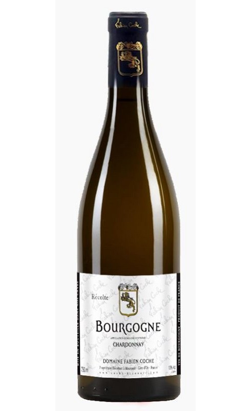 Photographie d'une bouteille de vin blanc Coche Chardonnay 2020 Bourgogne Blc 75cl Crd