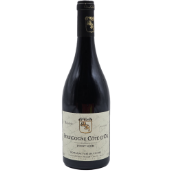 Photographie d'une bouteille de vin rouge Coche Pinot Noir Cote D Or 2020 Bourgogne Rge 75cl Crd