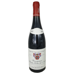 Photographie d'une bouteille de vin rouge Thevenot Htes-Cote De Nuit 2021 Rge 75cl Crd