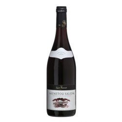 Photographie d'une bouteille de vin rouge Guy Saget Menetou-Salon 2021 Rge 75cl Crd