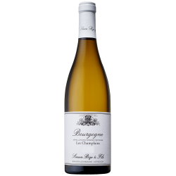 Photographie d'une bouteille de vin blanc Bize Les Champlains 2020 Bgne Blc 75cl Crd