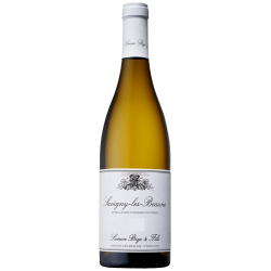 Photographie d'une bouteille de vin blanc Bize Savigny-Les-Beaune 2019 Blc 75cl Crd