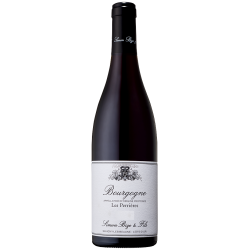 Photographie d'une bouteille de vin rouge Bize Les Perrieres 2019 Bgne Rge 75cl Crd