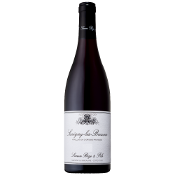 Photographie d'une bouteille de vin rouge Bize Savigny-Les-Beaune 2019 Rge 75cl Crd