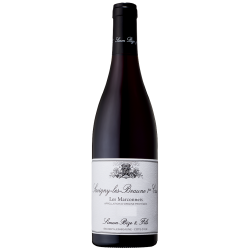 Photographie d'une bouteille de vin rouge Bize Les Marconnets 1er Cru 2018 Savigny Rge 75cl Crd