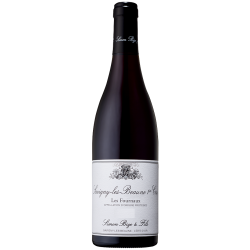 Photographie d'une bouteille de vin rouge Bize Les Fournaux 1er Cru 2018 Savigny Rge 75cl Crd