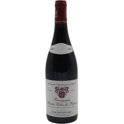 Photographie d'une bouteille de vin rouge Thevenot Hautes-Cotes De Beaune 2022 Rge 75cl Crd