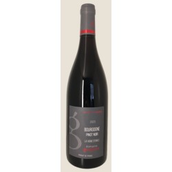Photographie d'une bouteille de vin rouge Gueguen La Vigne D Emile 2021 Bgne Rge 75cl Crd