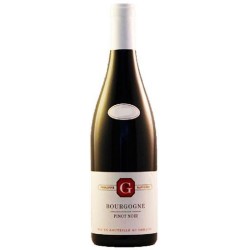Photographie d'une bouteille de vin rouge Gavignet Pinot Noir 2020 Bgne Rge 75cl Crd