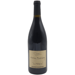 Photographie d'une bouteille de vin rouge Sanzay La Paterne 2022 Saumur Rge Bio 75cl Crd