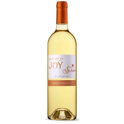 Photographie d'une bouteille de vin blanc Joy Saint-Andre 2021 Cdgascon Blc Moelleux 75cl Crd