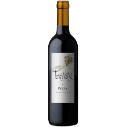 Photographie d'une bouteille de vin rouge Chiroulet Terra-Nostra 2019 Cdgascon Rge 75cl Crd