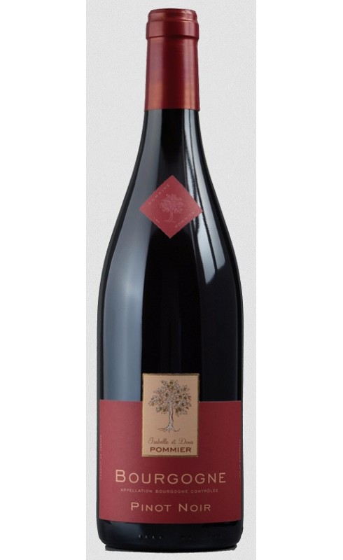 Photographie d'une bouteille de vin rouge Pommier Bourgogne Pinot Noir 2020 Bgne Rge 75cl Crd