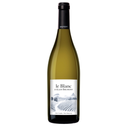 Photographie d'une bouteille de vin blanc Brumont Le Blanc D Alain B 2023 Pacherenc Blc Sec 75cl Crd