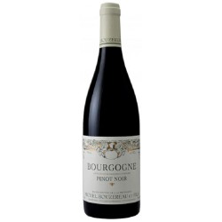 Photographie d'une bouteille de vin rouge Bouzereau Pinot Noir 2022 Bourgogne Rge 75cl Crd
