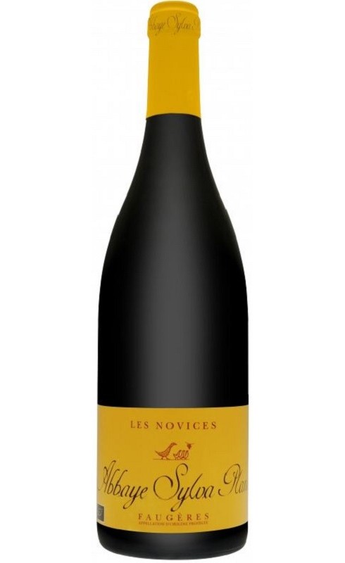 Photographie d'une bouteille de vin rouge Bouchard Les Novices 2023 Faugeres Rge Bio 75cl Crd
