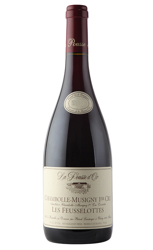 Photographie d'une bouteille de vin rouge Pousse D Or Les Feusselottes 2020 Chambolle Rge 75cl Crd