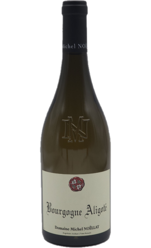 Photographie d'une bouteille de vin blanc Noellat Bourgogne Aligote 2022 Bgne Blc 75cl Crd