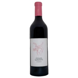 Photographie d'une bouteille de vin rouge Gavoty Storia 2021 Provence Rge 75cl Crd
