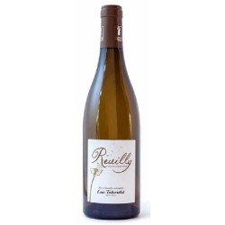 Photographie d'une bouteille de vin blanc Tabordet Reuilly 2021 Reuilly Blc Bio 75cl Crd