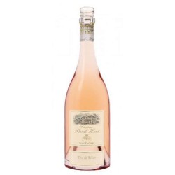 CHATEAU PUECH-HAUT -...