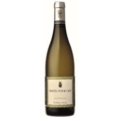 CAVE YVES CUILLERON -...