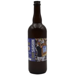 BRASSERIE DU PAYS FLAMAND ANOSTEKE STEVEN SEAGULL SAISON 6°