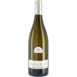DOMAINE PIERRE VESSIGAUD -...