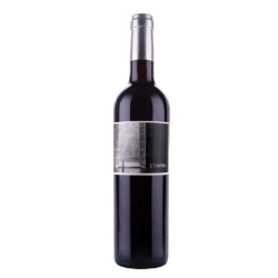 DOMAINE DE LA RECTORIE -...