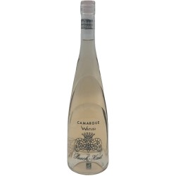 CHATEAU PUECH-HAUT - IGP...
