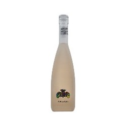 CHATEAU PUECH-HAUT - IGP...